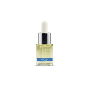 Concentré parfum hydrosoluble 15ml - Cold Water