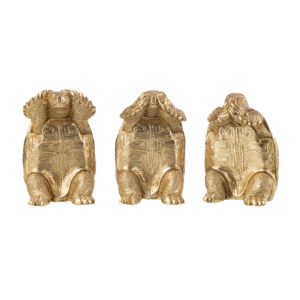 Tortues de la sagesse