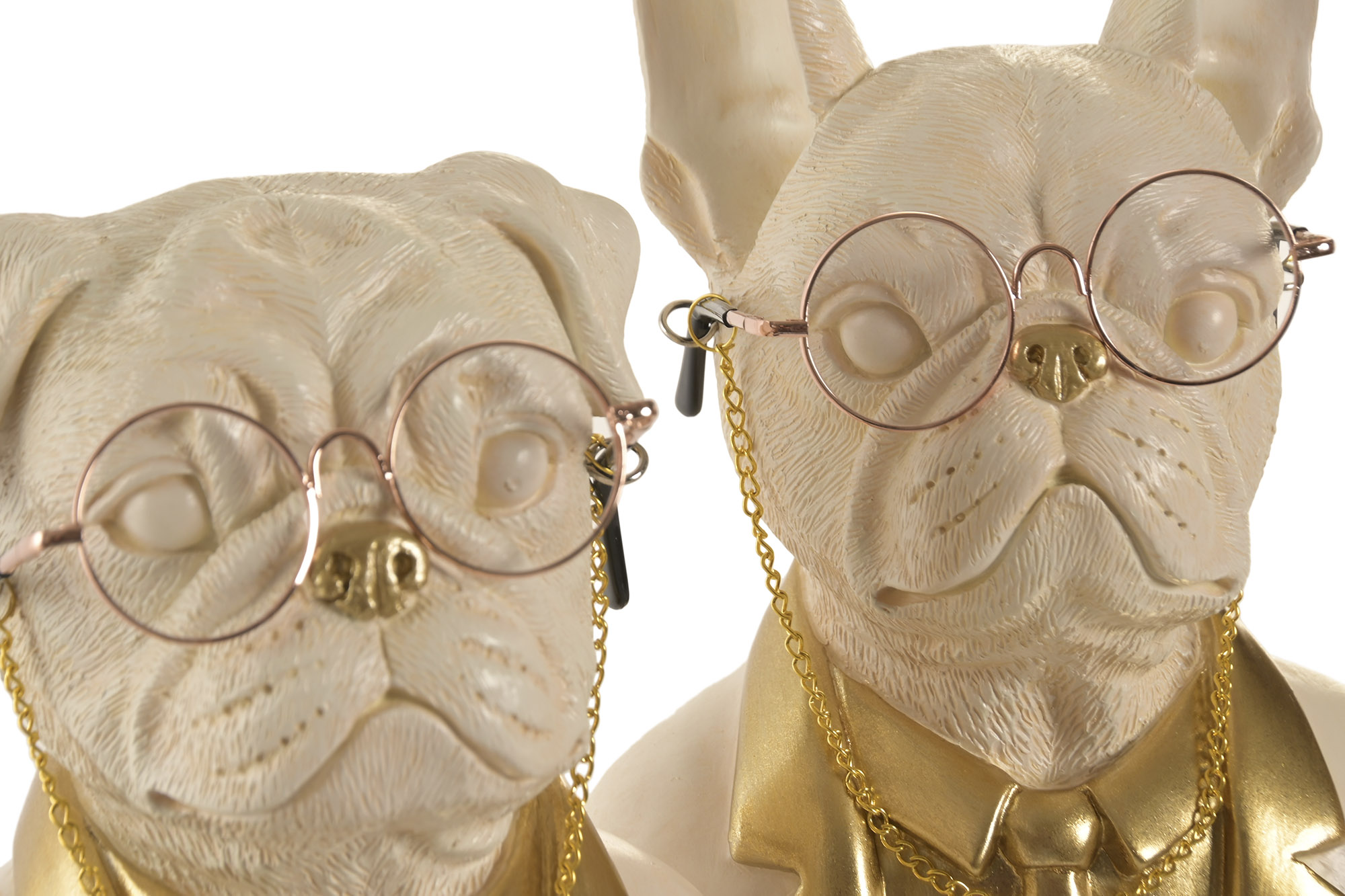 Intellectual Dog – Image 3